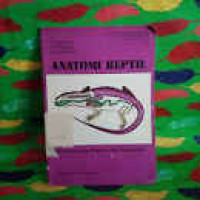 Image of ANATOMI REPTIL