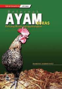 Image of BETERNAK AYAM BURAS PELUANG BISNIS MENGUNTUNGKAN