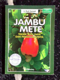 Image of JAMBU METE