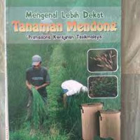 Image of mengenal lebih dekat tanaman mendong